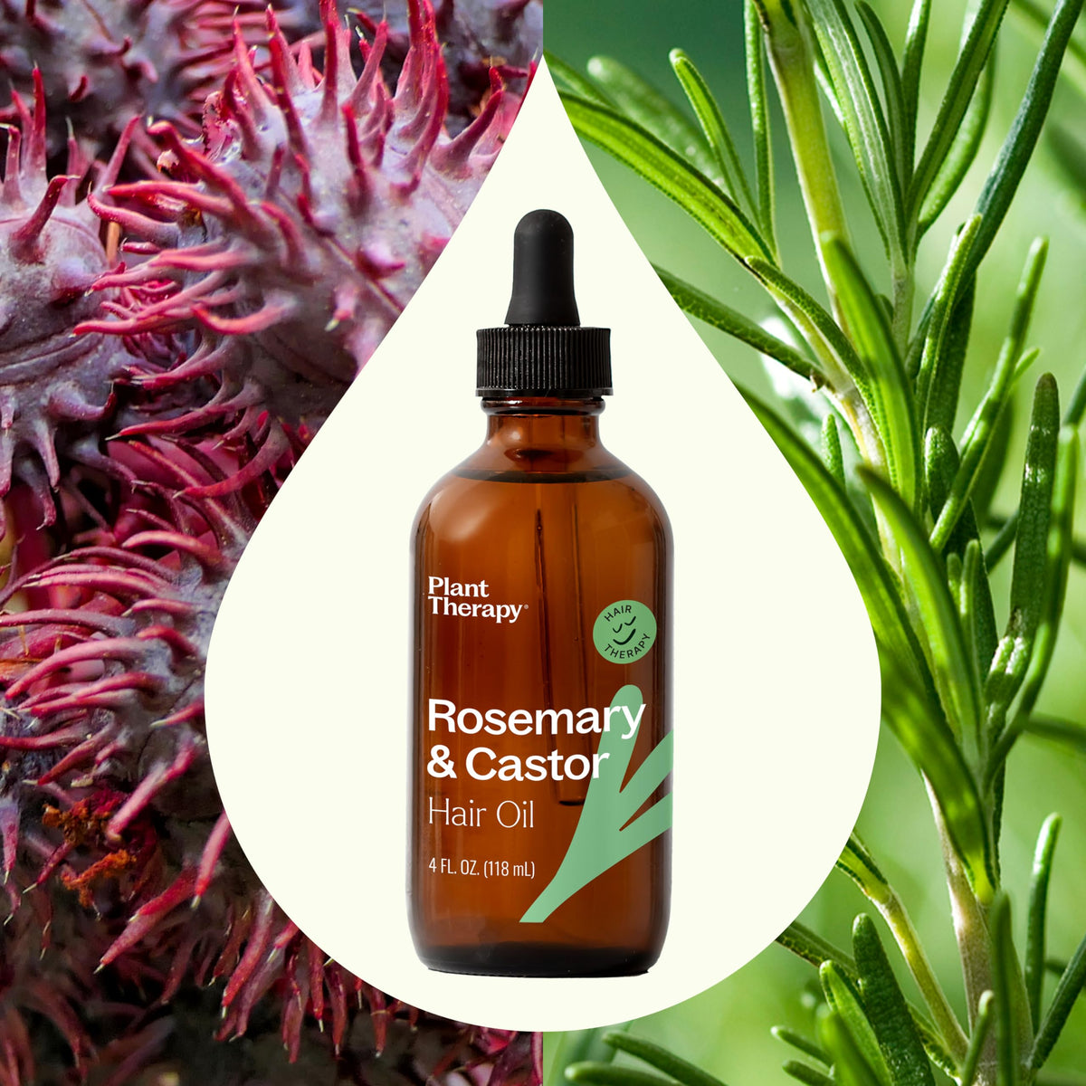 Plant Therapy bottle held in hand to show 4 oz scale and portable treatment convenience