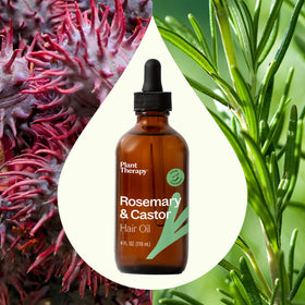 Plant Therapy bottle held in hand to show 4 oz scale and portable treatment convenience