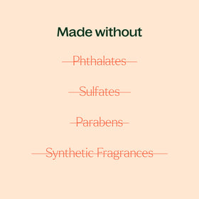 Plant Therapy serum paired with restorative facial oil for layered skincare benefit