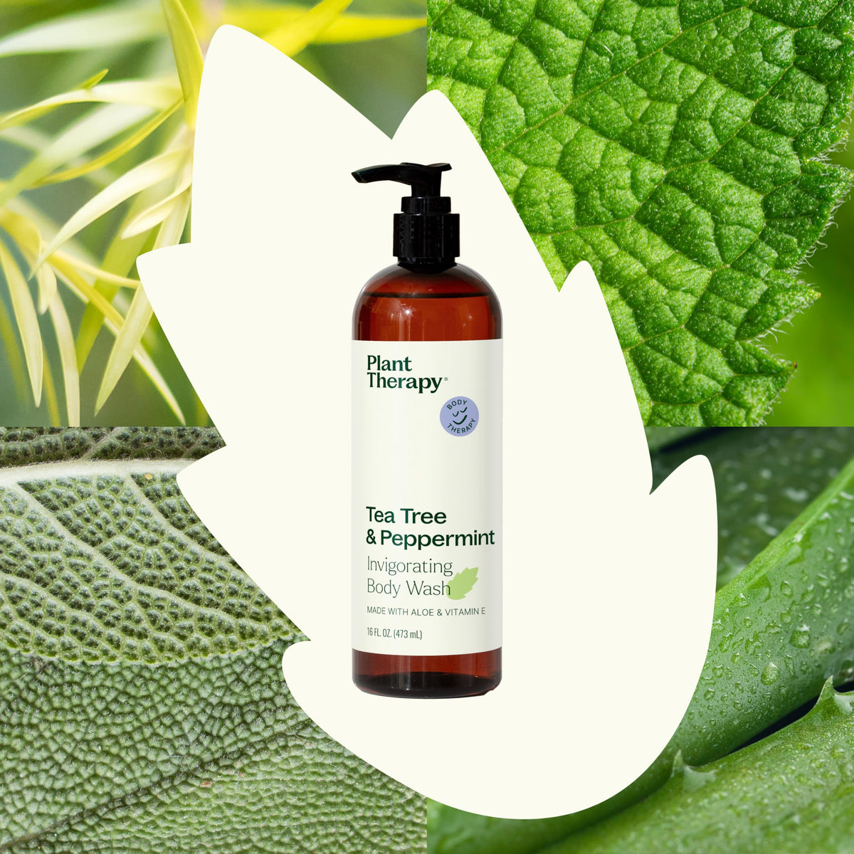 Plant Therapy lather texture on hand showing rich foam and hydrating cleanse benefit