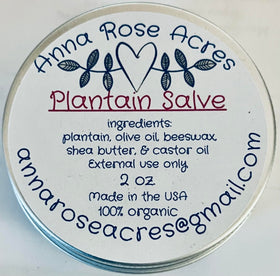 Generic plantain salve front tin showing label and compact 2 oz size benefit