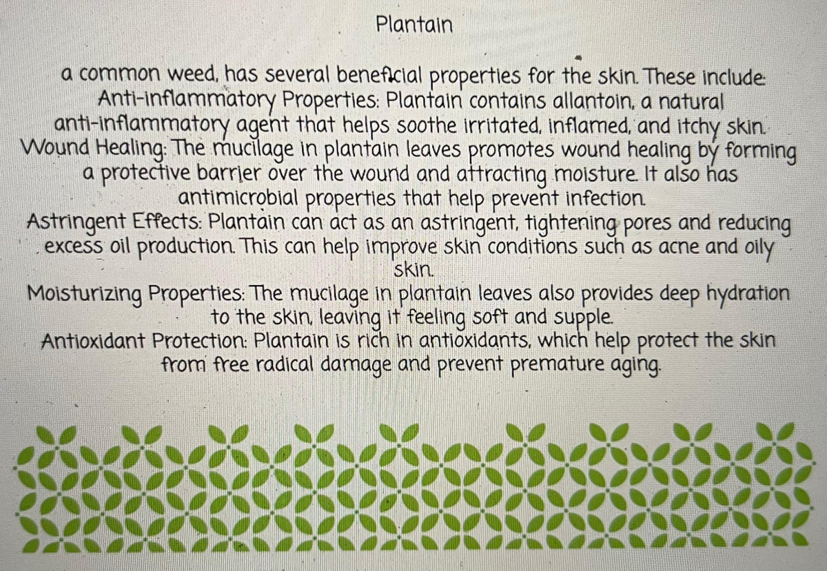 Generic plantain salve applied to hand in lifestyle scene showing soothing portable benefit