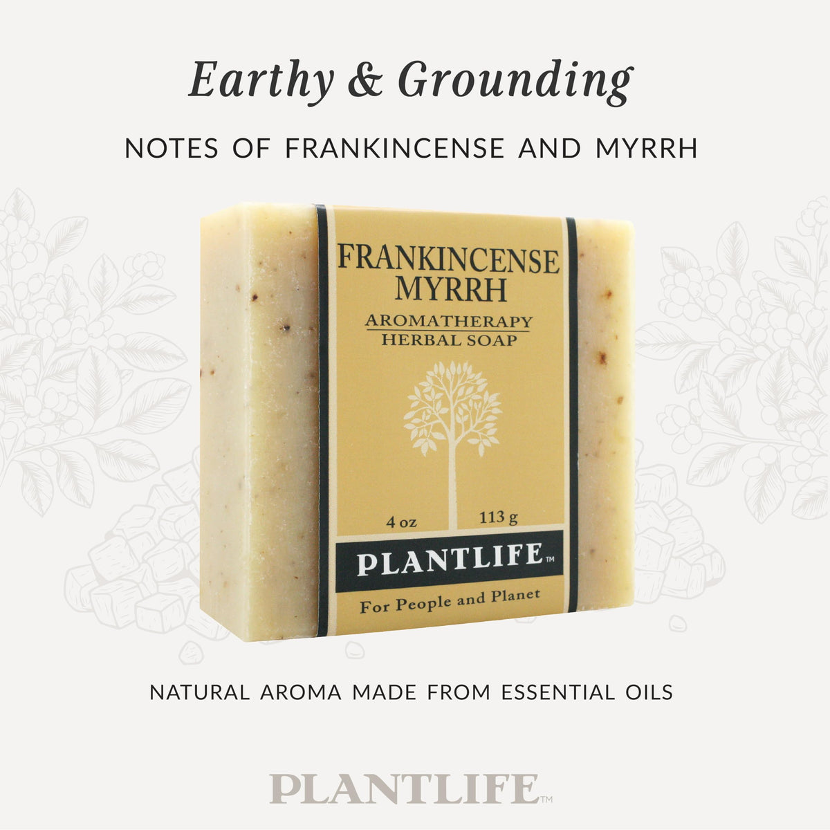 Plantlife three stacked bars emphasizing bundle value and durable handcrafted shape