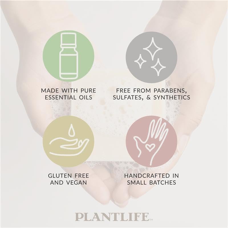 Plantlife lather in hand demonstrating creamy foam and gentle cleansing action