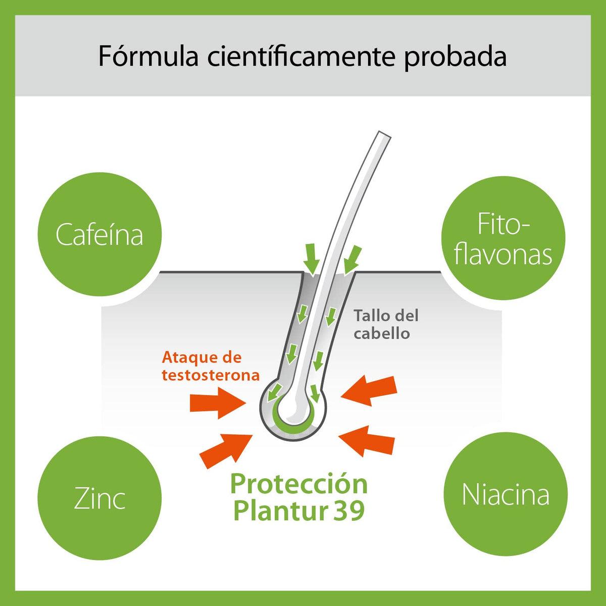 Plantur 39 texture drop on scalp showing tonic consistency and root benefit