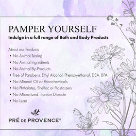Pré de Provence soap with coin for scale showing compact 25g size and travel-friendly convenience