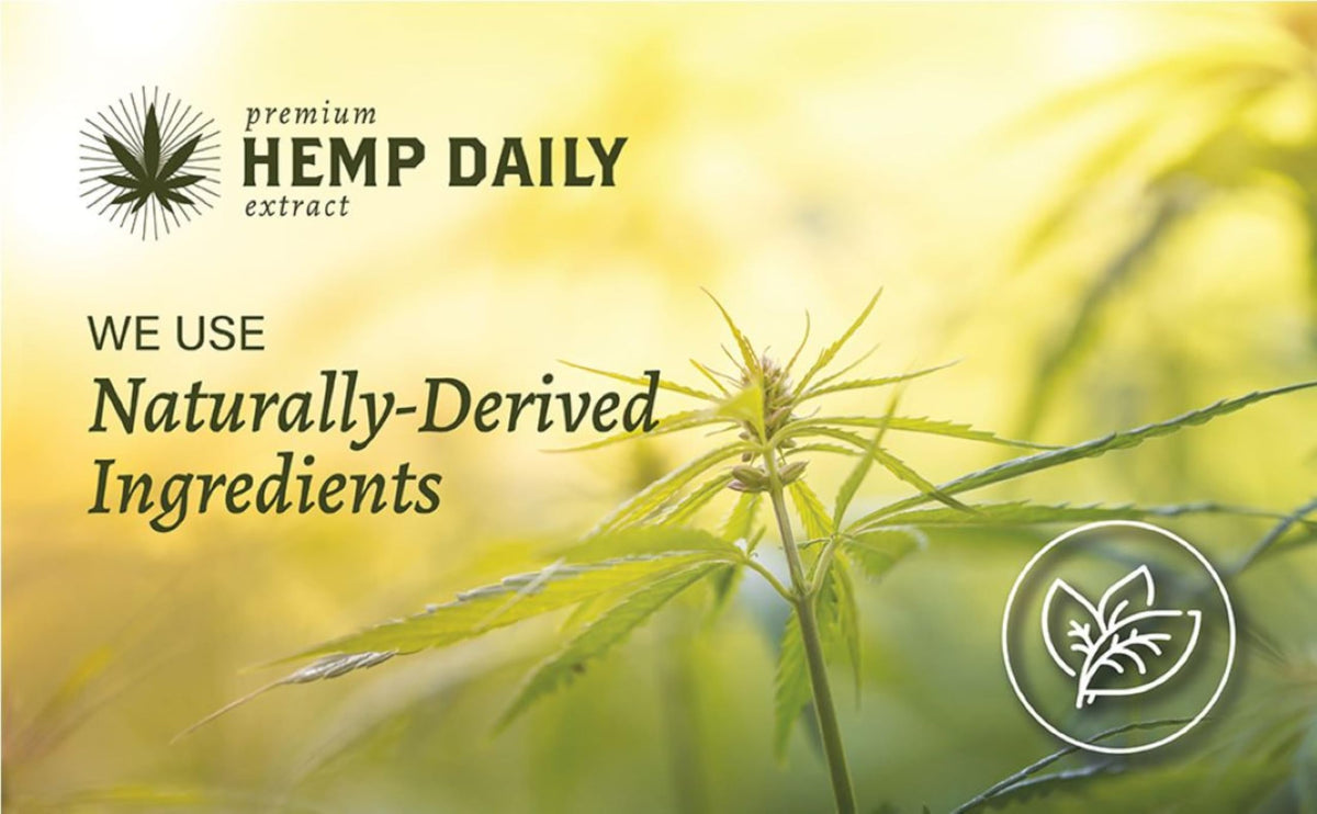 Premium Hemp Extract Daily tubs on a bathroom counter, showing everyday use and accessibility