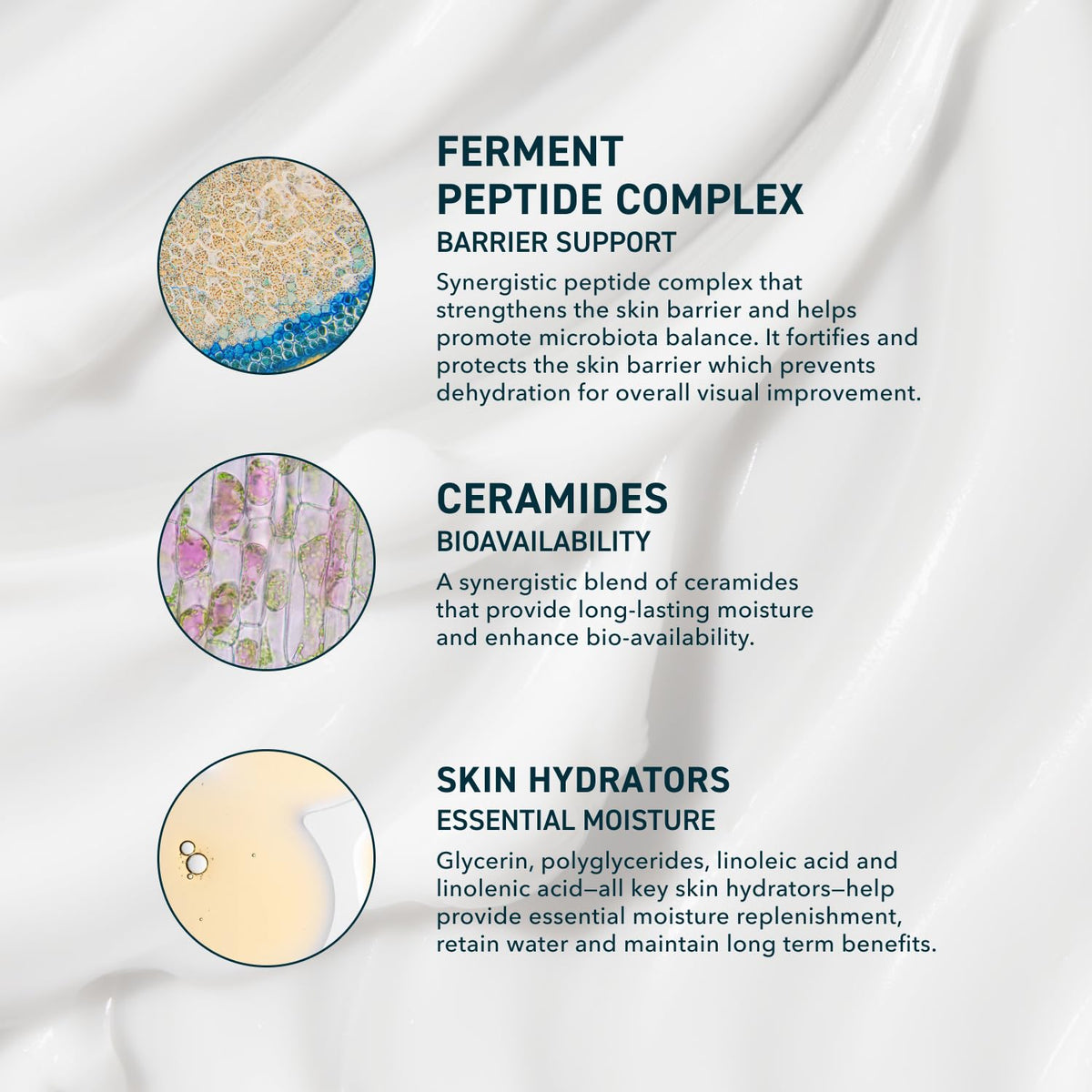 Prequel moisturizer spread on hand, shows fast absorption and smooth feel