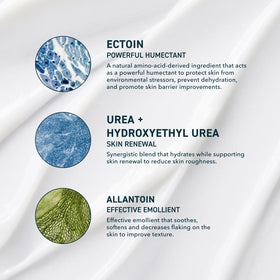Prequel ingredient label detail highlighting ectoin urea and allantoin