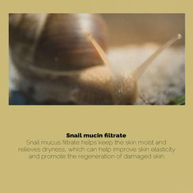 PRETTYSKIN ingredients label highlighting snail mucin and collagen benefits