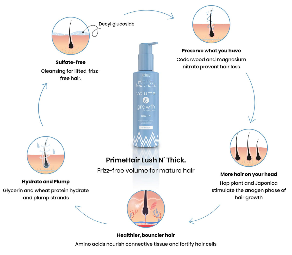 PRIME PROMETICS botanical ingredients flatlay highlighting natural actives