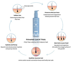 PRIME PROMETICS botanical ingredients flatlay highlighting natural actives