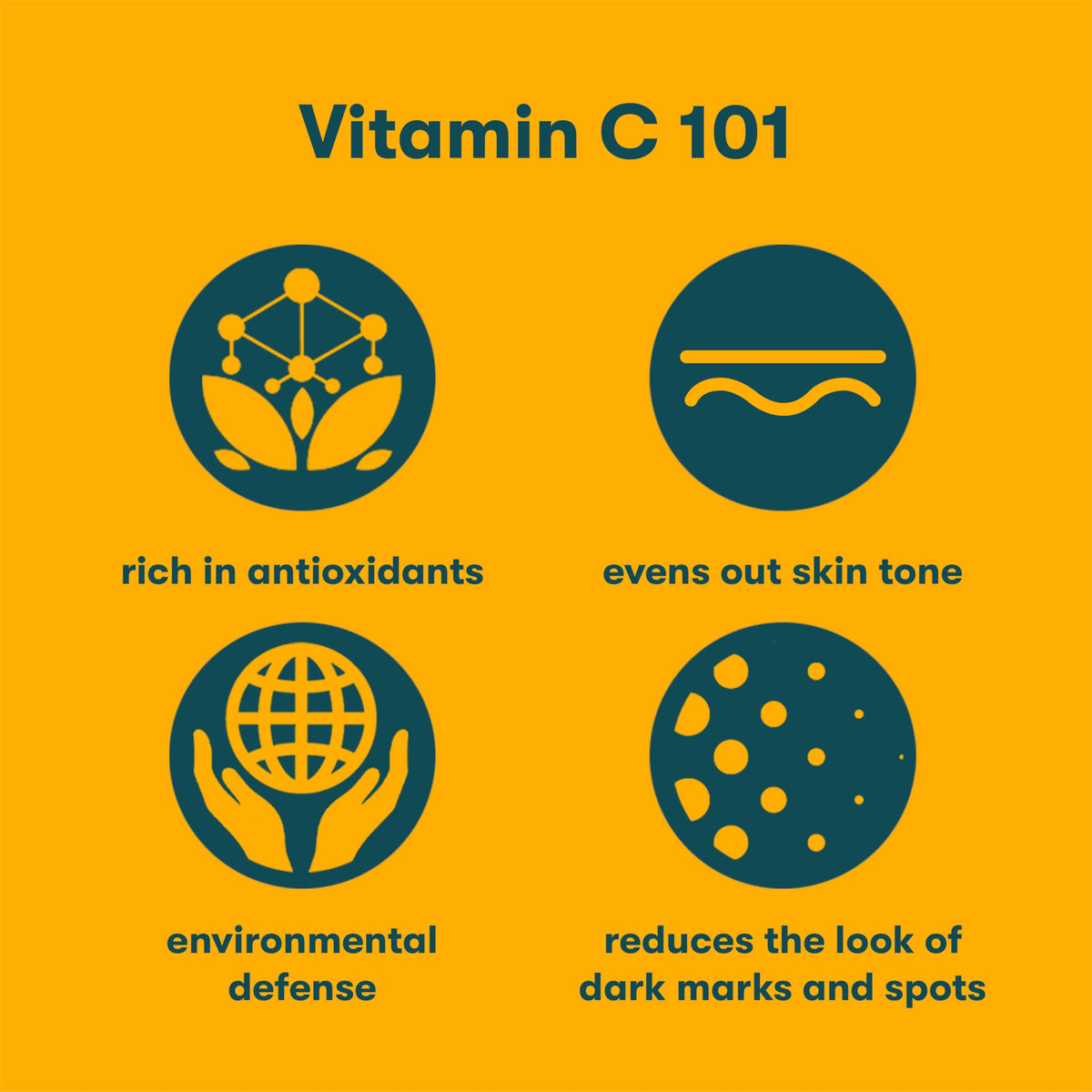 Proactiv ingredients visual featuring hyaluronic acid and Centella Asiatica benefits
