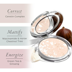 PÜR MINERALS application with brush on skin demonstrating quick shine control