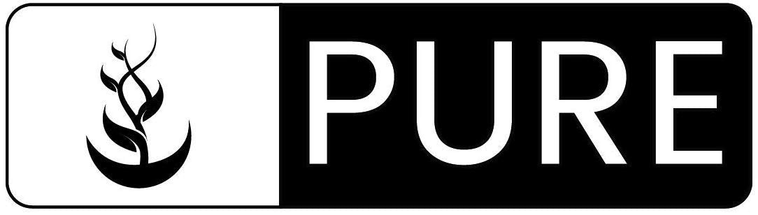 PURE ORIGINAL INGREDIENTS professional mixing solution in clinic setting benefit professional-grade use