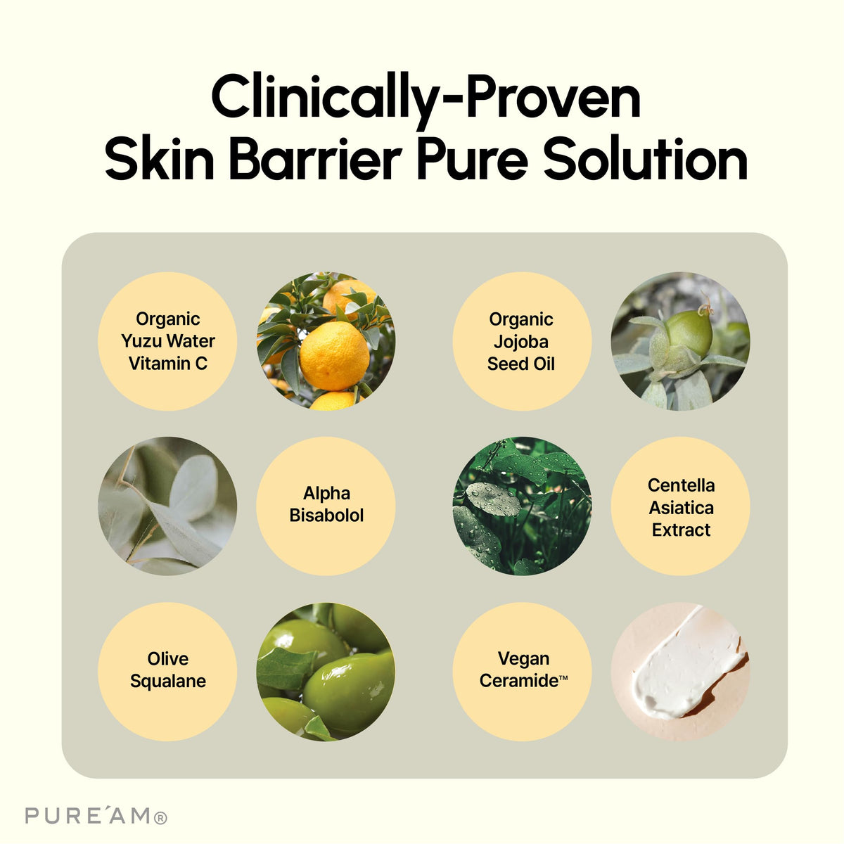 PURE'AM ceramide ingredient bead close-up, depicts barrier repair benefit