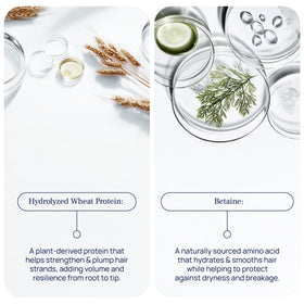 PUREANCE rich lather close-up demonstrating gentle yet effective cleanse