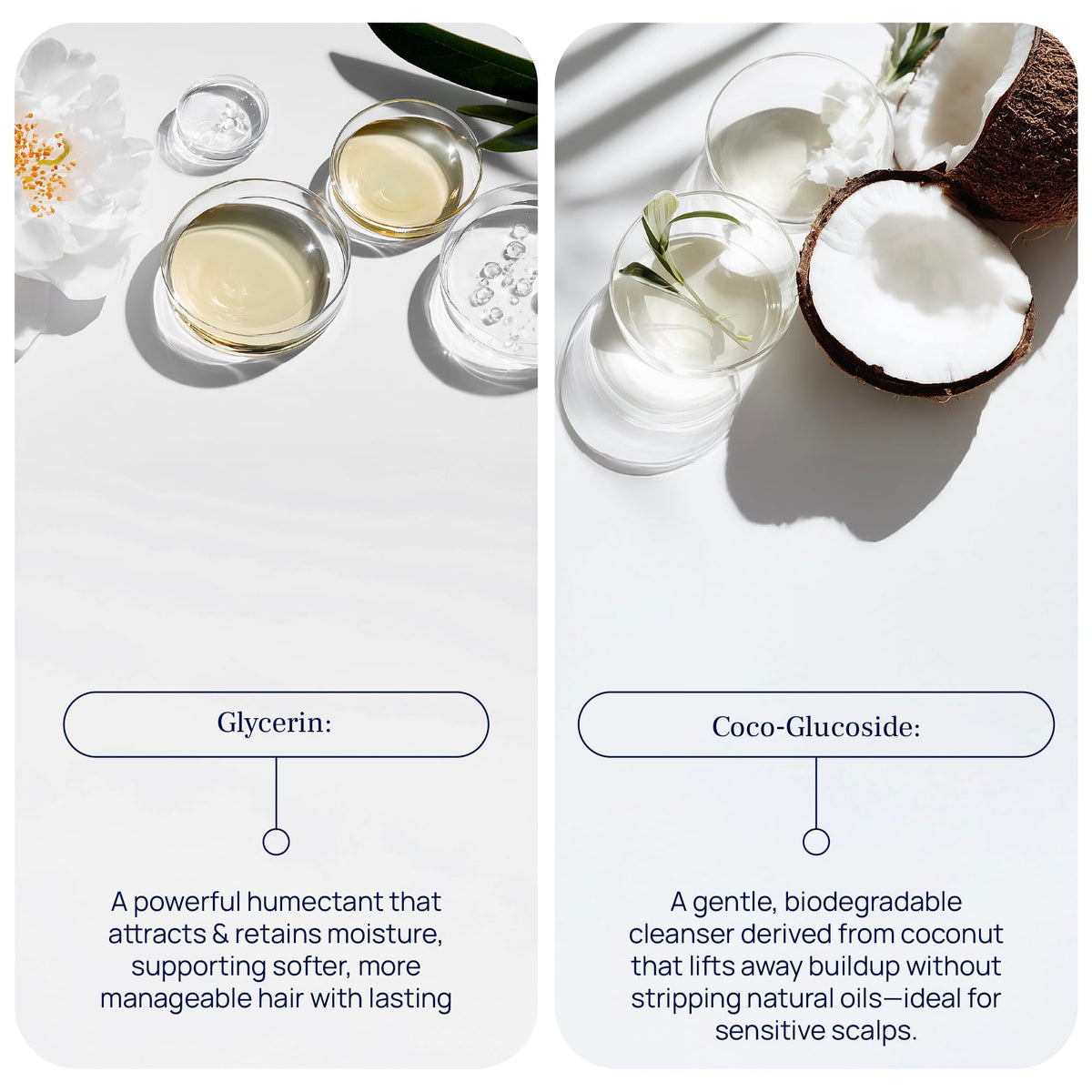 PUREANCE hydrolyzed wheat protein ingredient visual highlighting thickening effect
