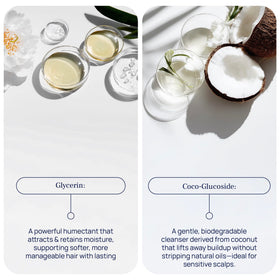 PUREANCE hydrolyzed wheat protein ingredient visual highlighting thickening effect