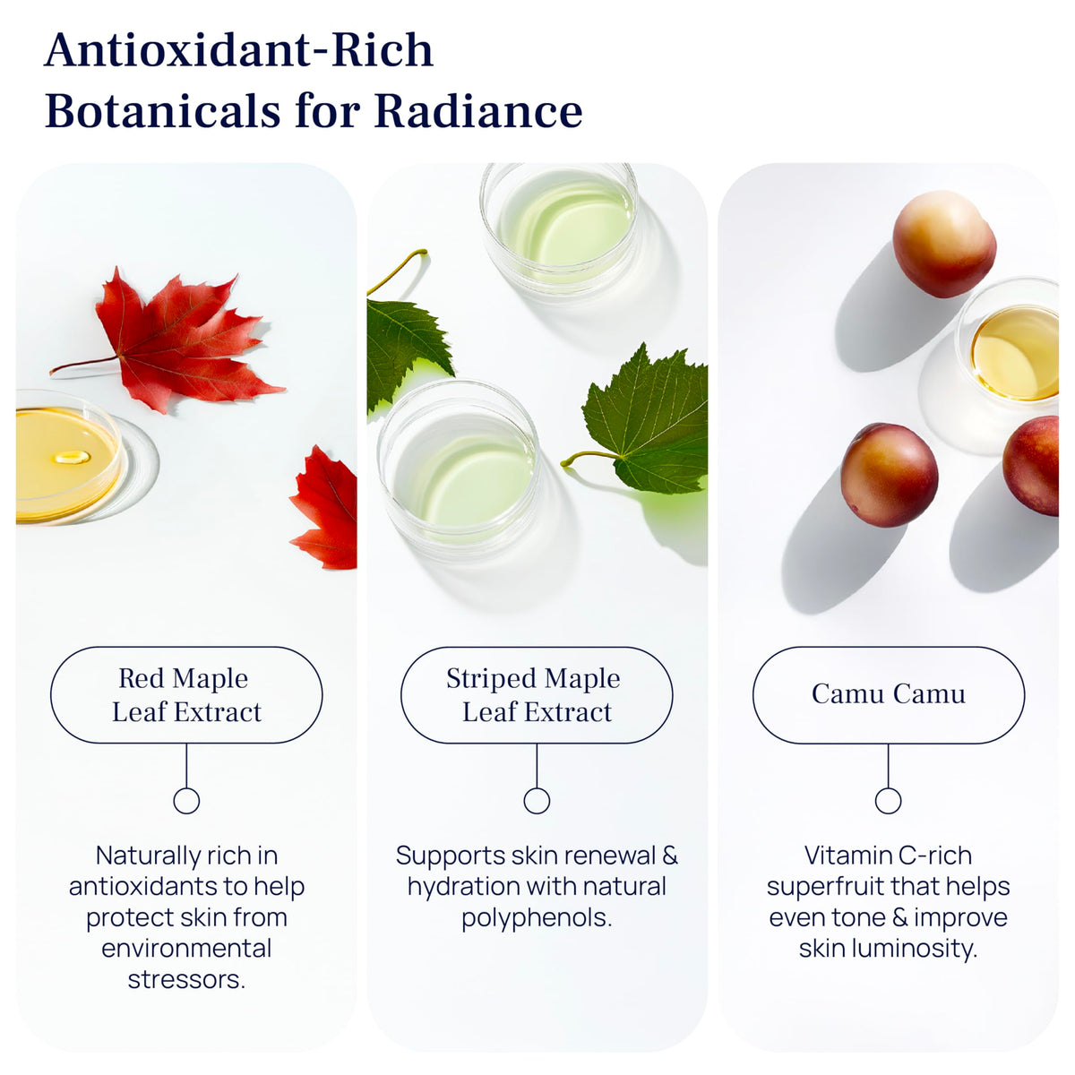 PUREANCE 1oz bottle beside ruler showing size and travel-friendly convenience