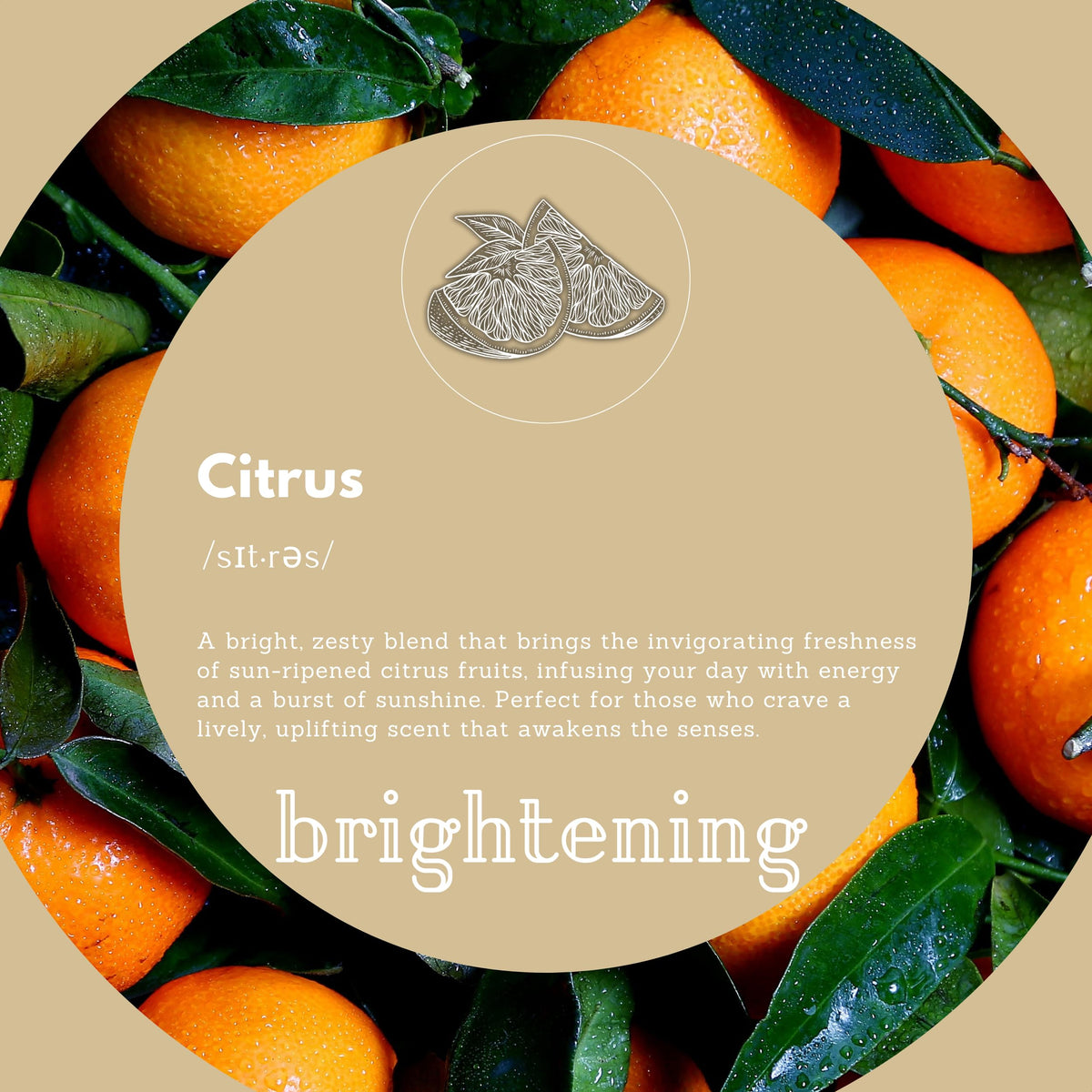 Puremax label detail highlighting Resurrection Aromatique citrus ingredients