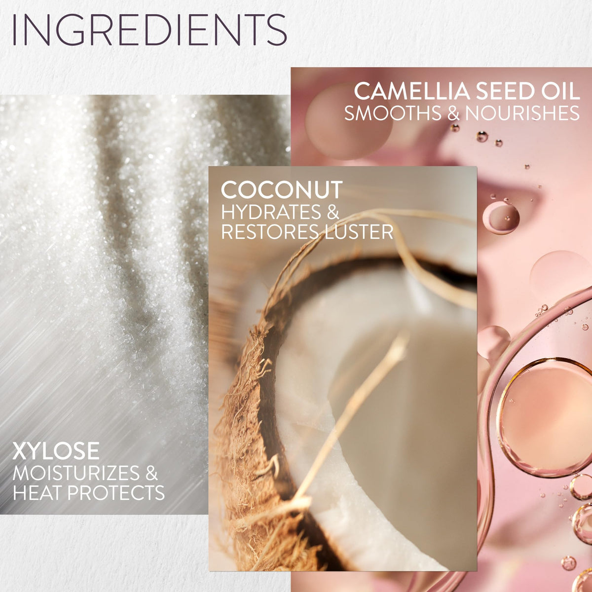 Pureology Color Fanatic applied to damp hair for heat protection benefit