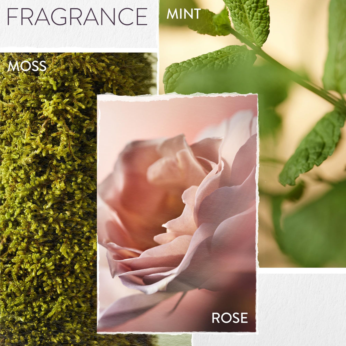 Pureology product label close-up showing Antifade Complex® and vegan ingredients benefit