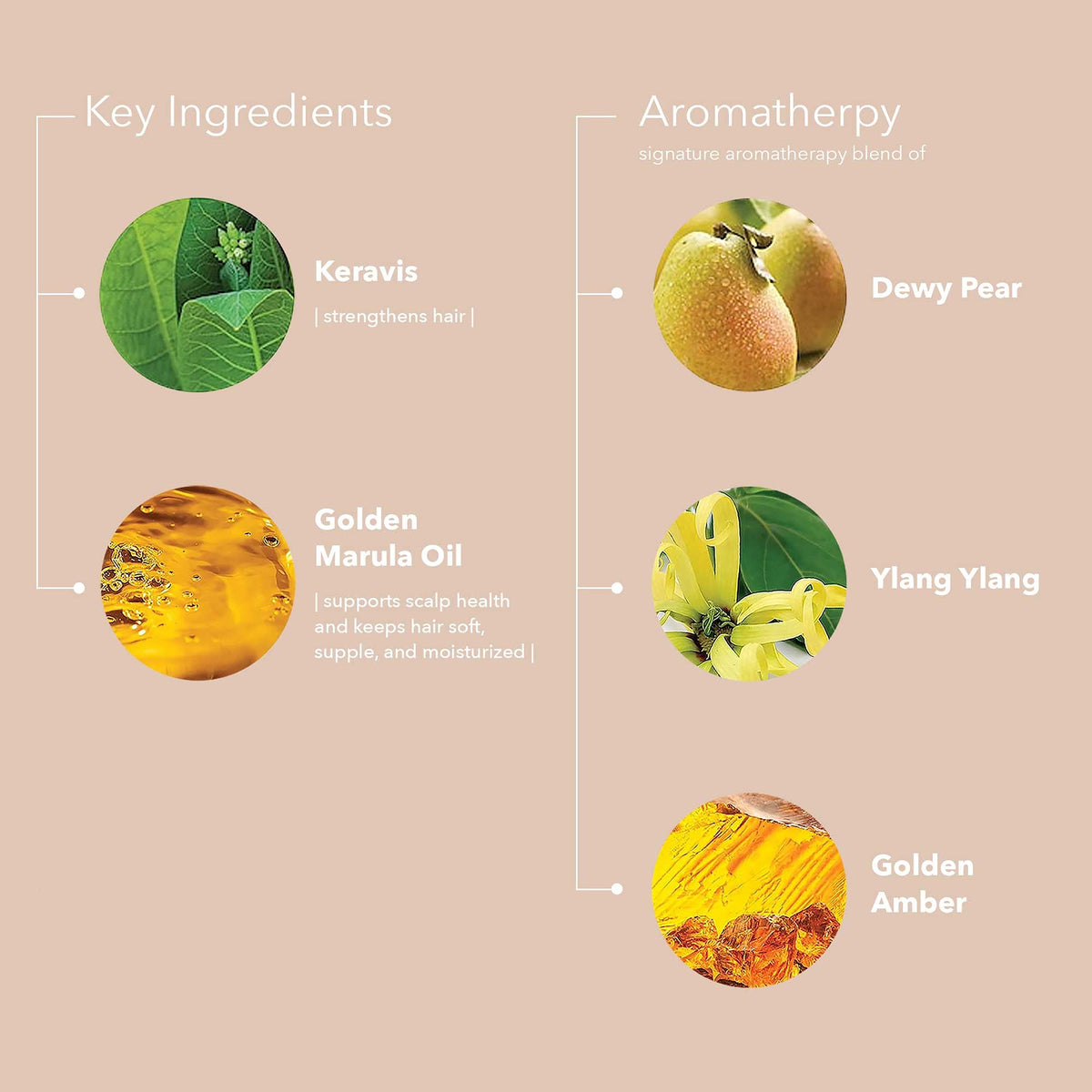 Pureology Golden Marula Oil ingredient shot highlighting nourishing moisturization