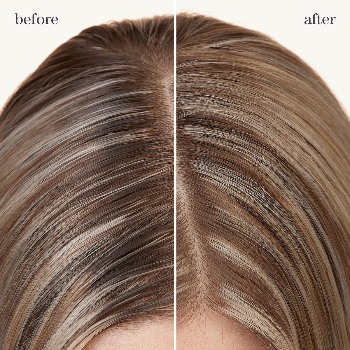 Pureology texture close-up highlighting rice starch particles that absorb oil and add texture