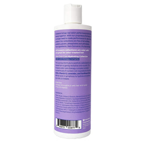 Purezero size scale comparison indicating bottle volume and travel-friendly benefit
