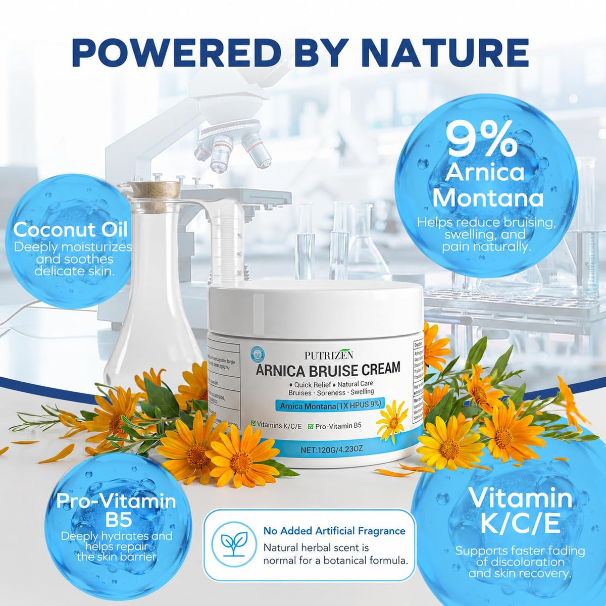 PUTRIZEN arnica botanicals image showing natural plant-based benefit
