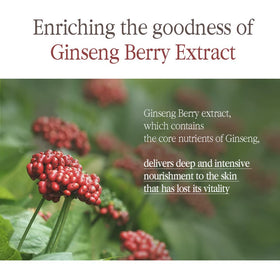 Pyunkang Yul ginseng berry extract close-up supplying deep nourishment