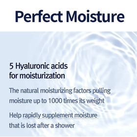 Pyunkang Yul ceramide and hyaluronic visual highlighting deep hydration and barrier support