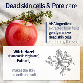 Pyunkang Yul ingredients display with botanical extracts emphasizing soothing benefits