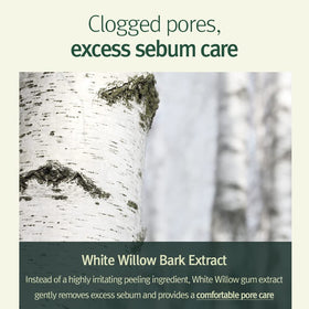 Pyunkang Yul centella and tea tree extracts close-up showing calming botanical benefits