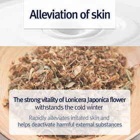 Pyunkang Yul lotion applied to forearm demonstrating non-greasy finish and quick dry-down