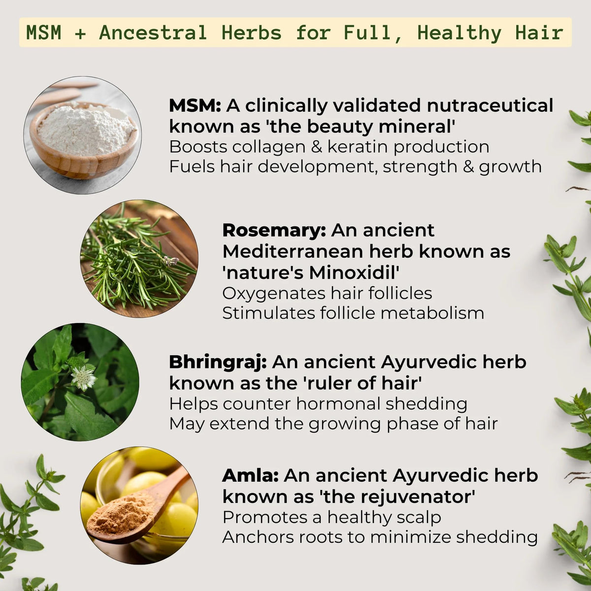 Qhemet Biologics jar beside rosemary and herbs showing botanical ingredients benefit