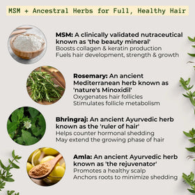 Qhemet Biologics jar beside rosemary and herbs showing botanical ingredients benefit