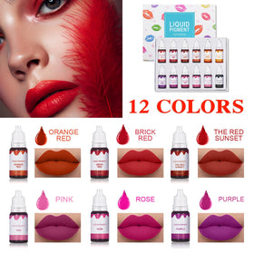 QIUFSSE 12 color array top view displaying pigments for unlimited color mixing