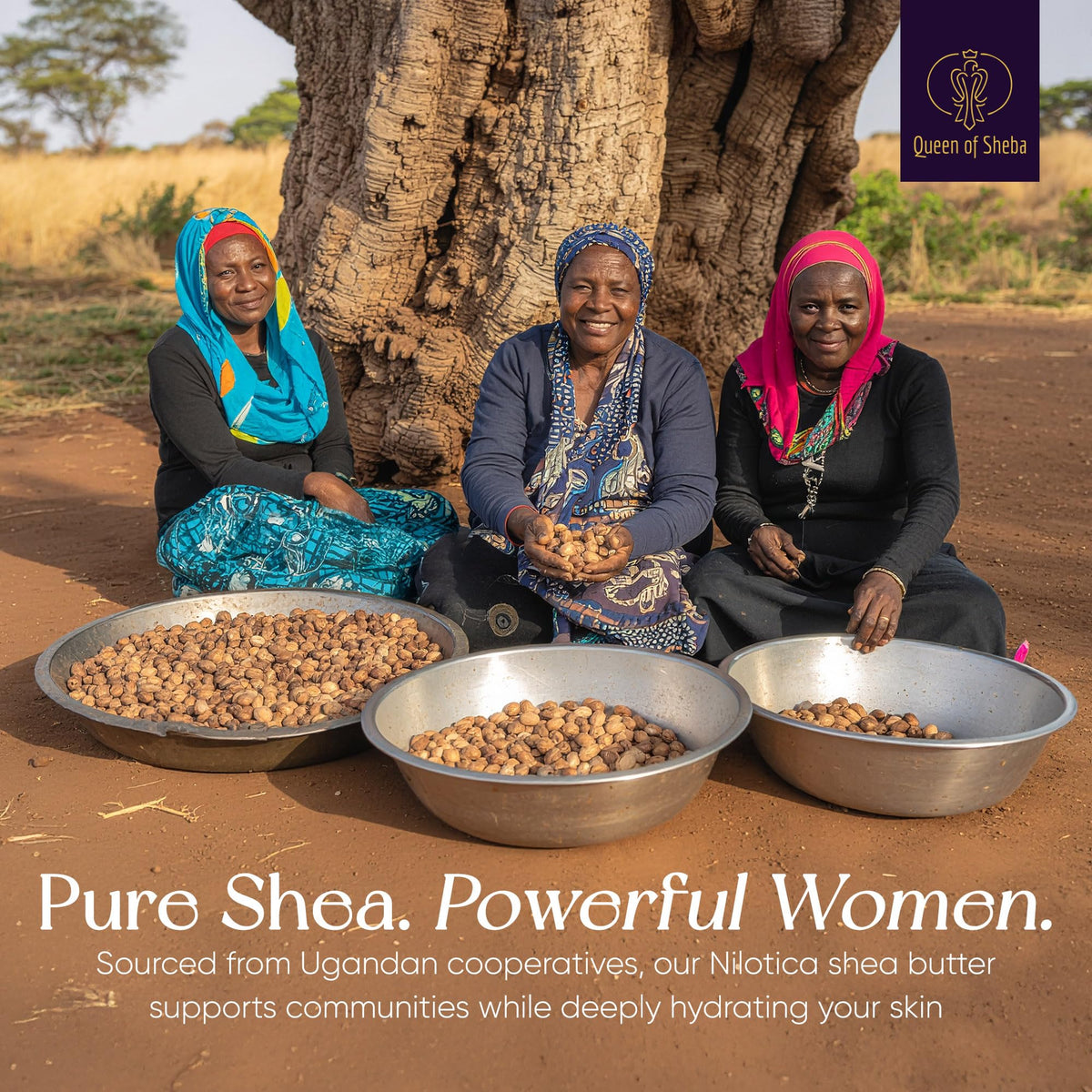Queen of Shea jar with shea nuts illustrating East African sourcing and purity