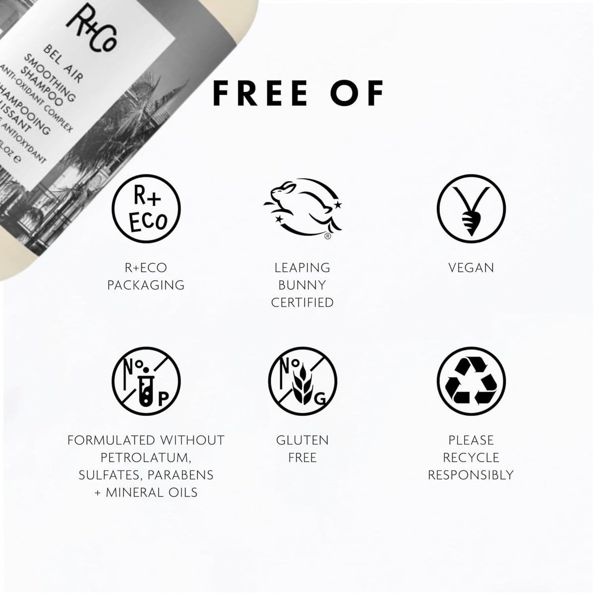 R+Co bottle label close-up showing ingredient highlights and clean-beauty benefit
