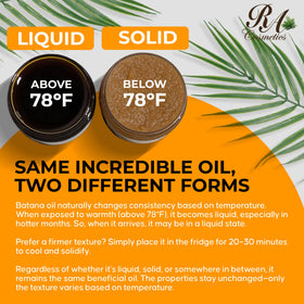 RA COSMETICS sourcing image of Honduran palms indicating authentic origin