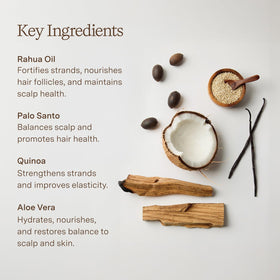 Rahua Classic Shampoo beside quinoa grains showing repairing protein