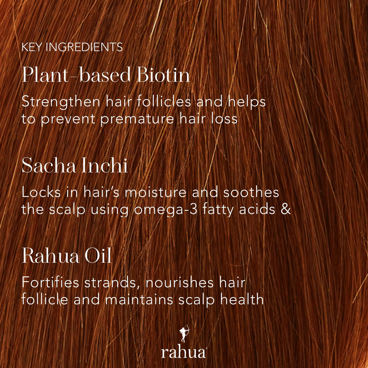 Rahua with Amazonian oils display of rahua and sacha inchi to show nourishing benefits