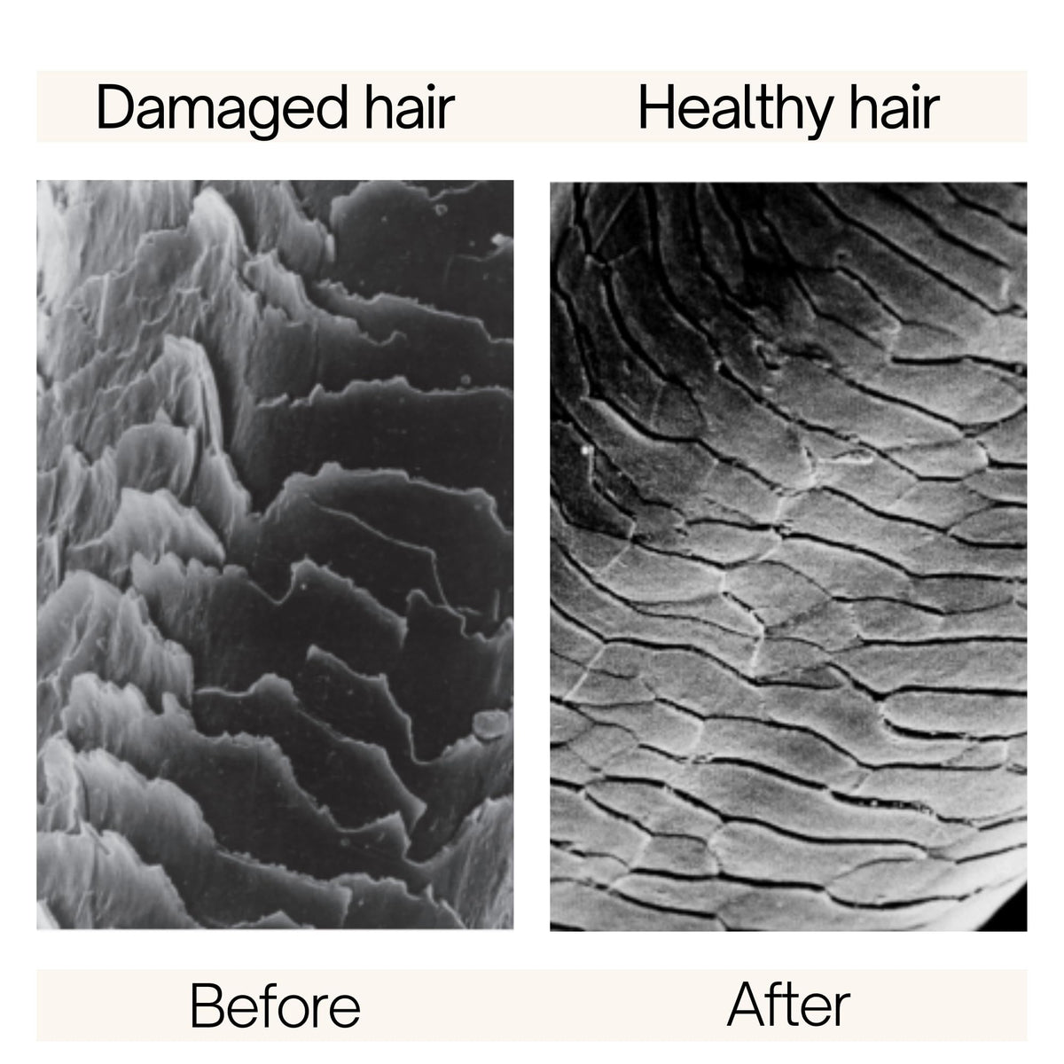 Rausch shampoo texture on hand showing gentle, creamy lather benefit