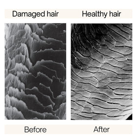 Rausch shampoo texture on hand showing gentle, creamy lather benefit