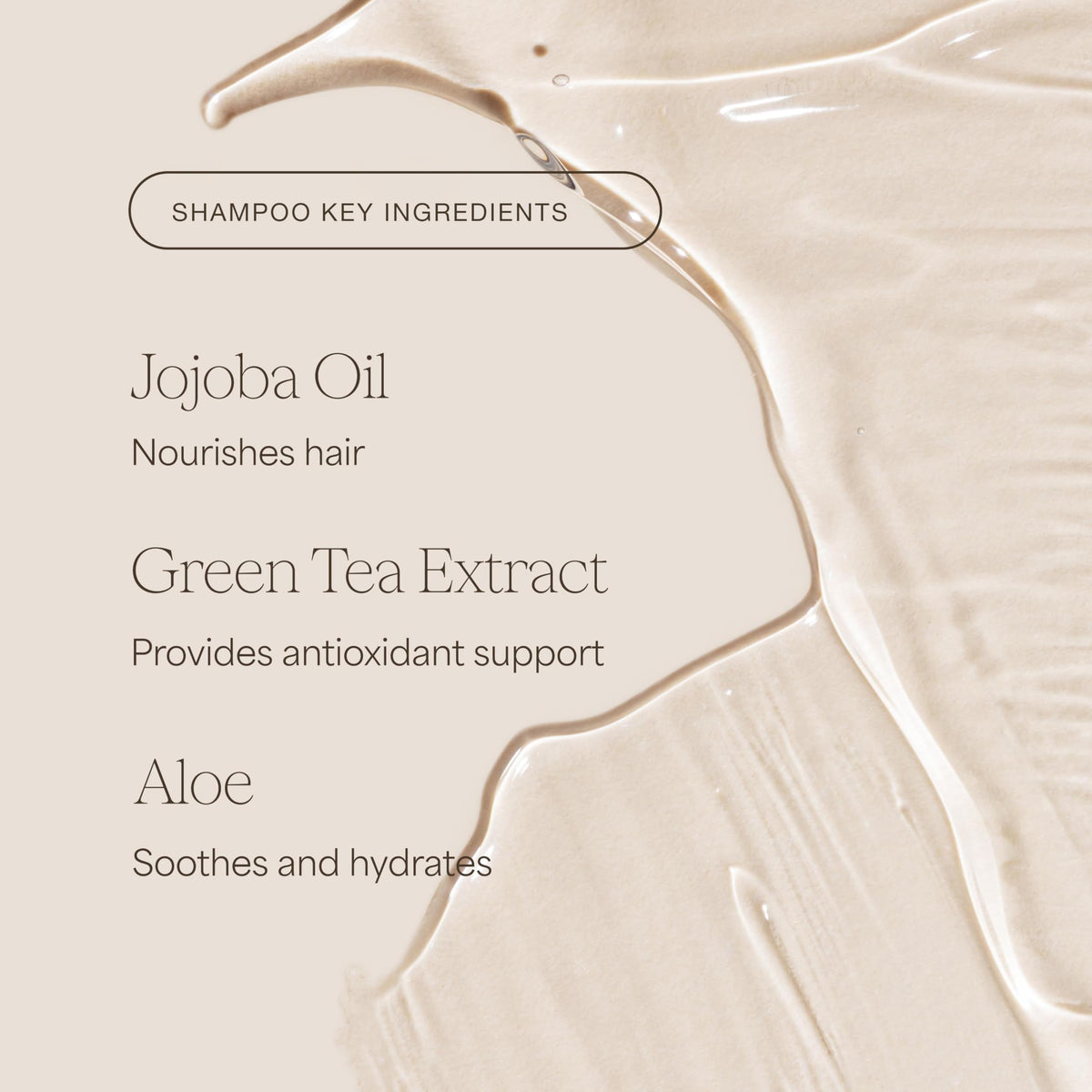 RAW SUGAR argan and jojoba ingredient display illustrating nourishing oils