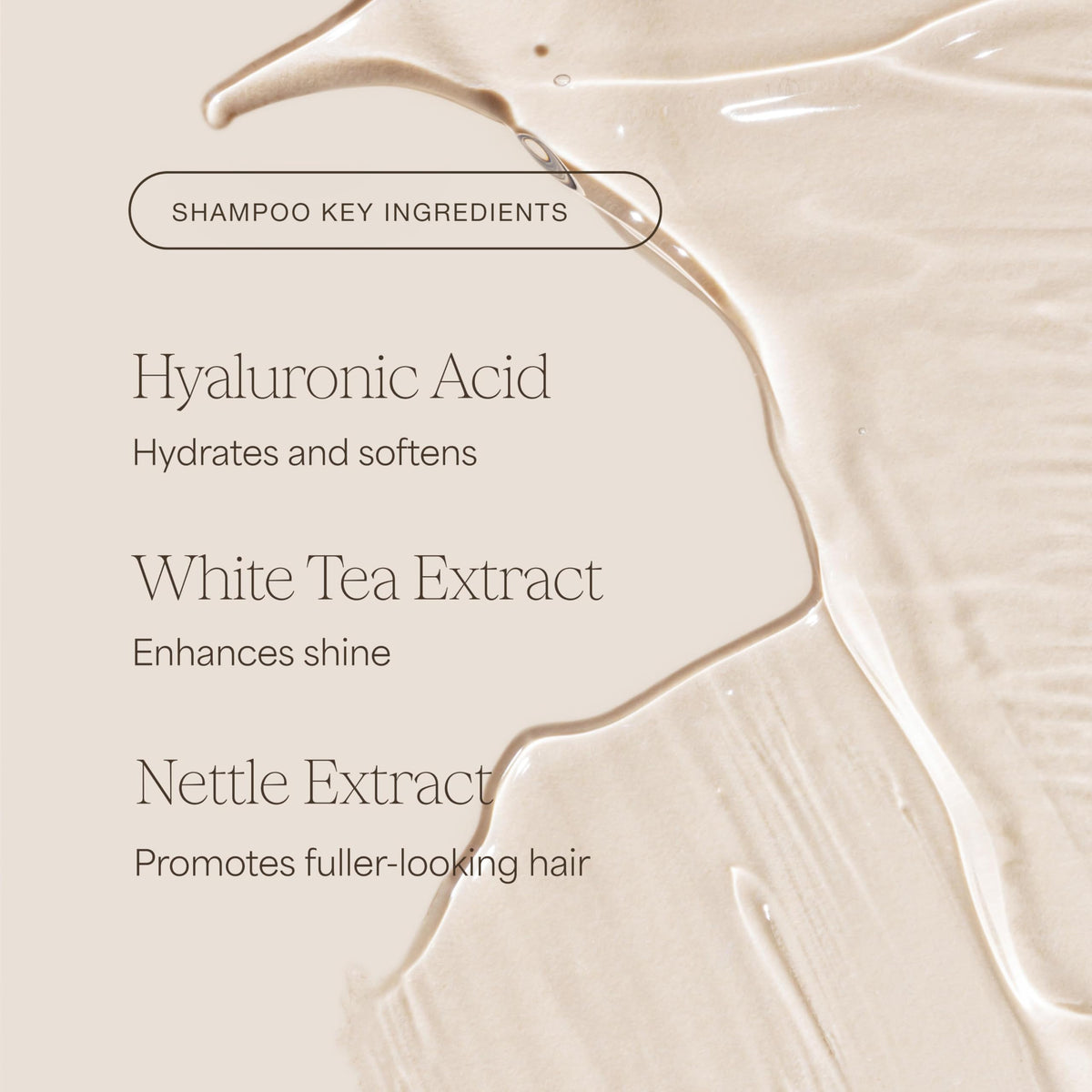 RAW SUGAR shampoo and conditioner duo staged in a bathroom for daily routine appeal