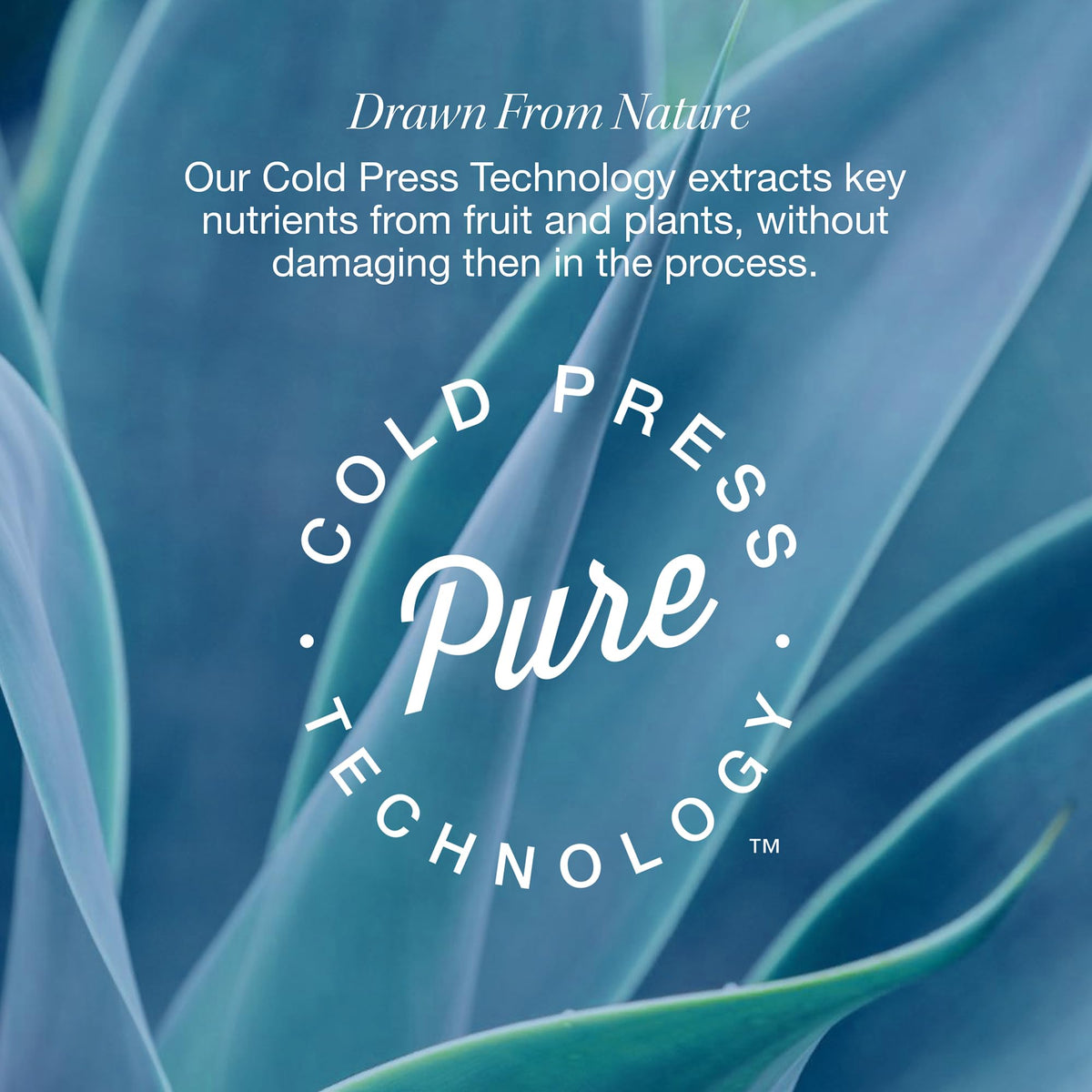 RAW SUGAR label close-up highlighting fragrance-free and eczema-association acceptance