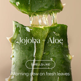 RAW SUGAR shampoo and conditioner duo highlighting hydrating formulation benefits